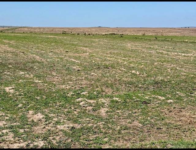 FARM FOR SALE IN TWEELING